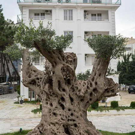 Garden Palace Rezort Golem (Tirana)
