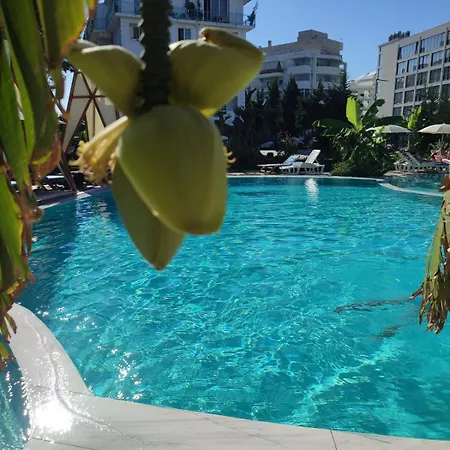 Garden Palace Resort *