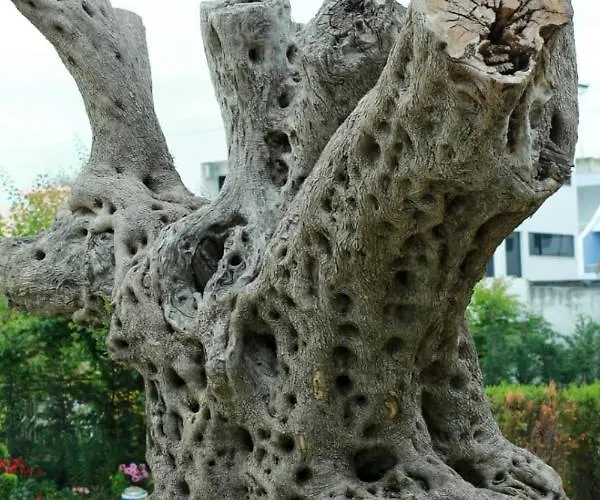 Garden Palace 格勒姆