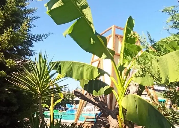 Garden Palace * 골렘