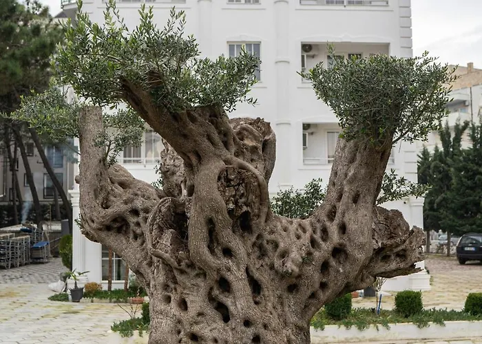 Garden Palace Resort Golem (Tirana)